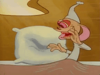ren and stimpy nicksplat GIF
