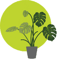 Plant Grow Sticker by PRO-MIX Gardening