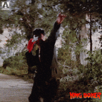 Martial Arts Reaction GIF by Arrow Video