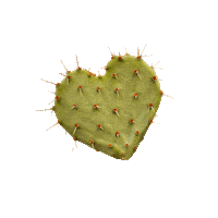 heart cactus Sticker by 150UP