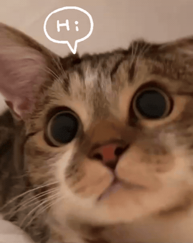 Hello Kitty Cat GIF