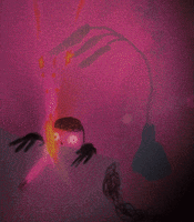 Birthday Boy Party GIF by Daniel Barreto