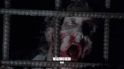 the walking dead halloween GIF