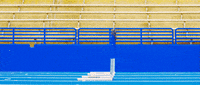 Jump Running GIF by University of Florida