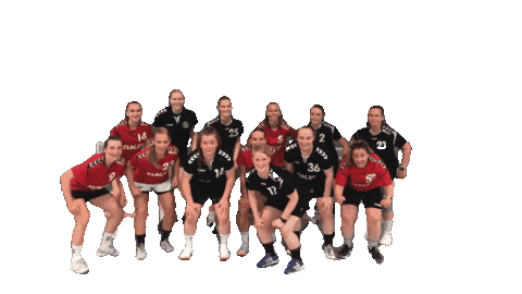 Handball Sticker by SV Lok Rangsdorf