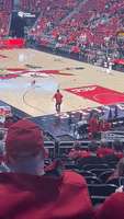 Performing Dog Poops on Court During Halftime Show at Louisville Basketball Game