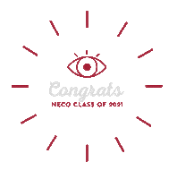 Congrats Sticker by New England College of Optometry
