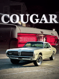 Ford Car GIF