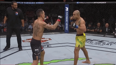 hollowayaldo gif 10 GIF