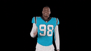 Happy North Carolina GIF by Carolina Panthers