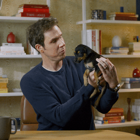 Education Voting GIF by PBS