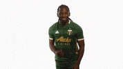 Celebrate Portland Timbers GIF by Timbers