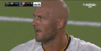 jelle van damme GIF by LA Galaxy