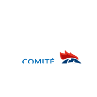 comitehandaveyron handball aveyron handball aveyron comite handball aveyron Sticker
