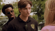 Try Me Reno 911 GIF by Schoolyard TV