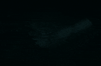 Italian Puppet GIF by Madman Films