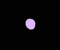 slzarts art nice artist flowers GIF
