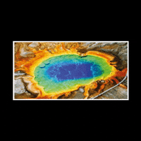 Elementargentina elementargentina GIF