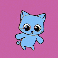 Cute Cat Momo GIF