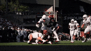 Cincinnati Football GIF by Cincinnati Bearcats