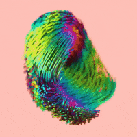 lolalola bwelt gifmybrand lolalola GIF