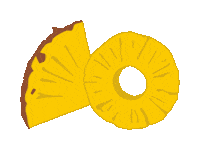 Pineapple Slice Sticker