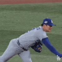 World Series Mlb GIF