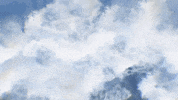 BigDreamsMedia  GIF