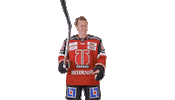 Bobby Violin Sticker by Örebro Hockey