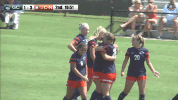 celebration GIF by Carson-Newman Athletics