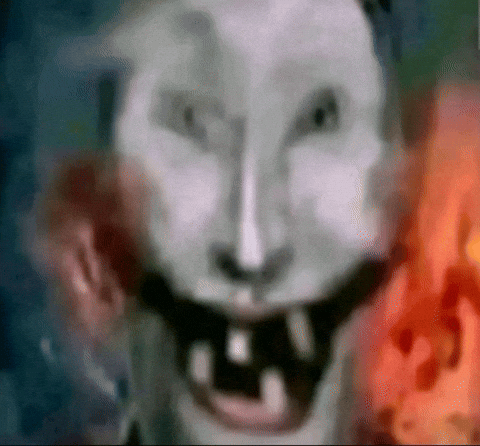 zukakishi giphyattribution giphycreatortest GIF