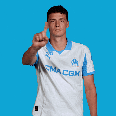 You Shall Not Pass France GIF by Olympique de Marseille