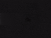 sharon jones boogie GIF by Sharon Jones & The Dap-Kings