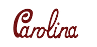 Carolina Gamecockfootball Sticker by gamecocksonline