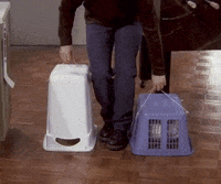 Season 5 Race GIF by Friends