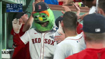 Celebrate Red Sox GIF by MLB