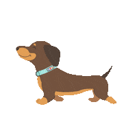 Dogs Love Sticker by Pawtitas