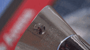 Final Four Trophy GIF by EuroLeague