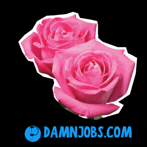Valentines Day Love GIF by Damnjobs