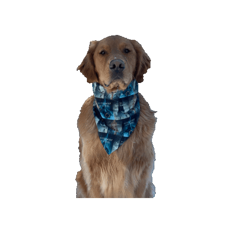 Golden Retriever Sticker by Geekster Pets