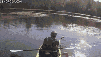 ywhhbm5hadixnubnbwfpbc5jb20 giphyupload GIF