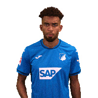 Kevin Akpoguma Sport Sticker by TSG Hoffenheim