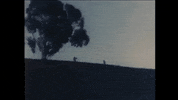 Youtube Running GIF