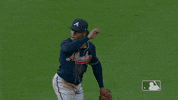Excited Major League Baseball GIF by MLB