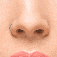 loading nose ring GIF by William Wolfgang Wunderbar