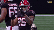 Happy Nfl GIF by Atlanta Falcons