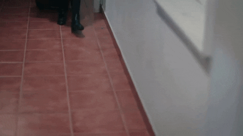 Drama Legacy GIF by Eccho Rights