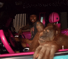 In The Laughing GIF