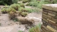 Flash Flooding Hits Scottsdale's Mirabel Golf Club