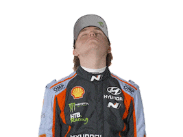 Sleepy Monster Energy Sticker by FIA World Rally Championship